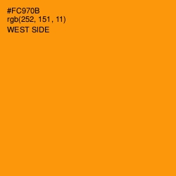 #FC970B - West Side Color Image